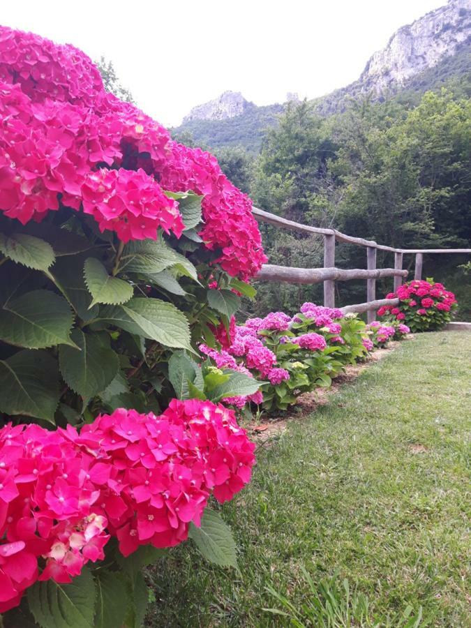 奥尔特度假时光住宿加早餐旅馆 奥尔科费利诺 外观 照片